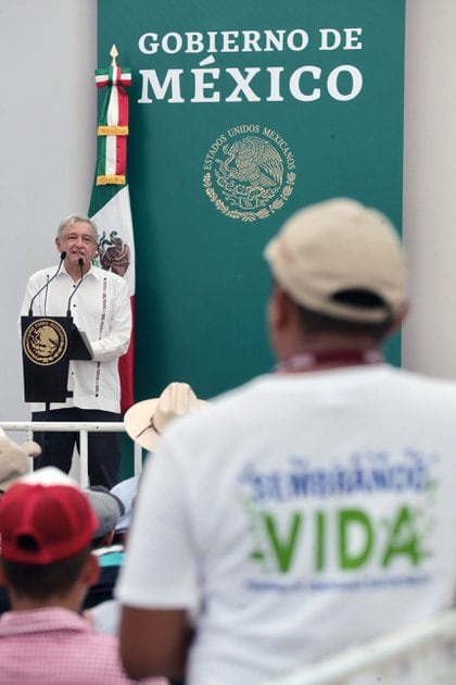 Archivo de imagen (Foto: Presidencia)