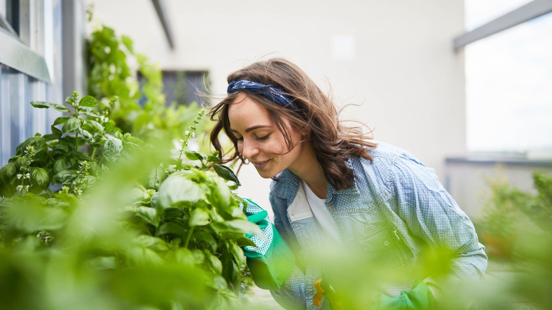 Muchas personas se sienten mejor si se mantienen ocupadas. Se puede participar en actividades tales como jardinería, música, artesanías, lectura, o aprender algo nuevo