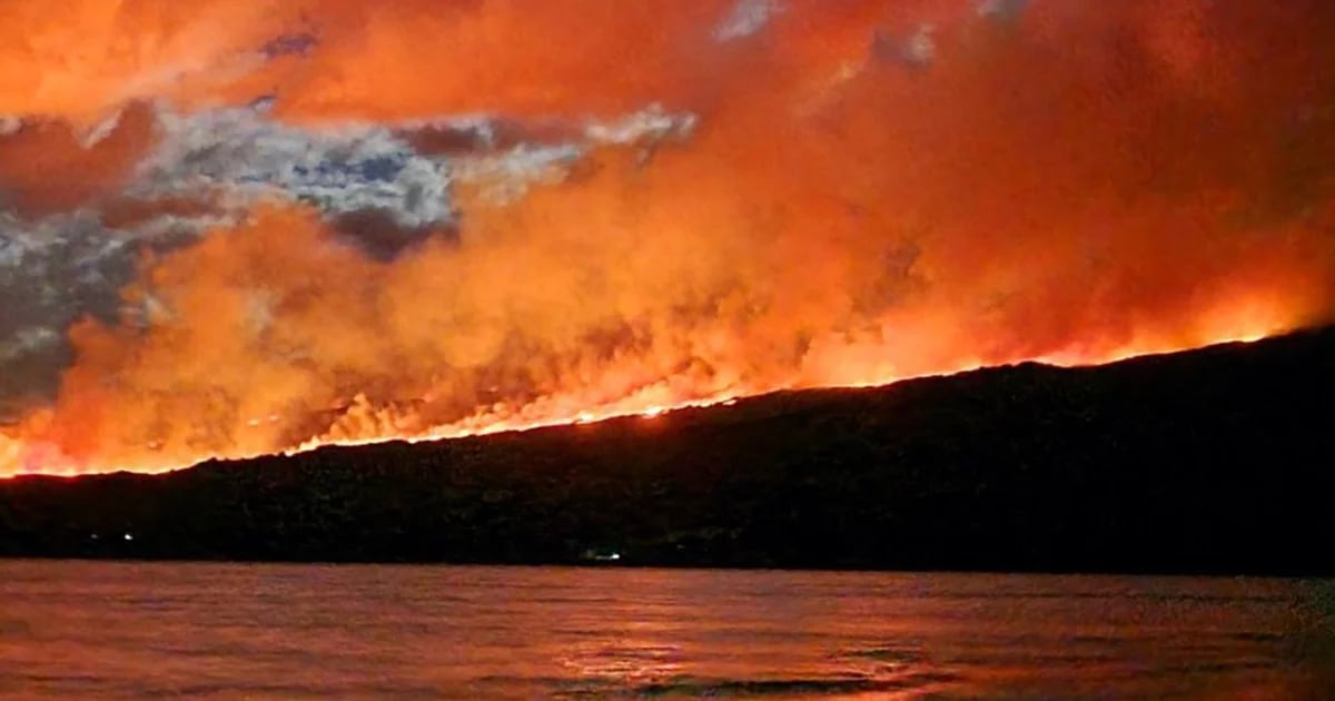 The wildfire in Los Alerces National Park has already destroyed about 600 hectares of land and they have warned it is “out of control”.