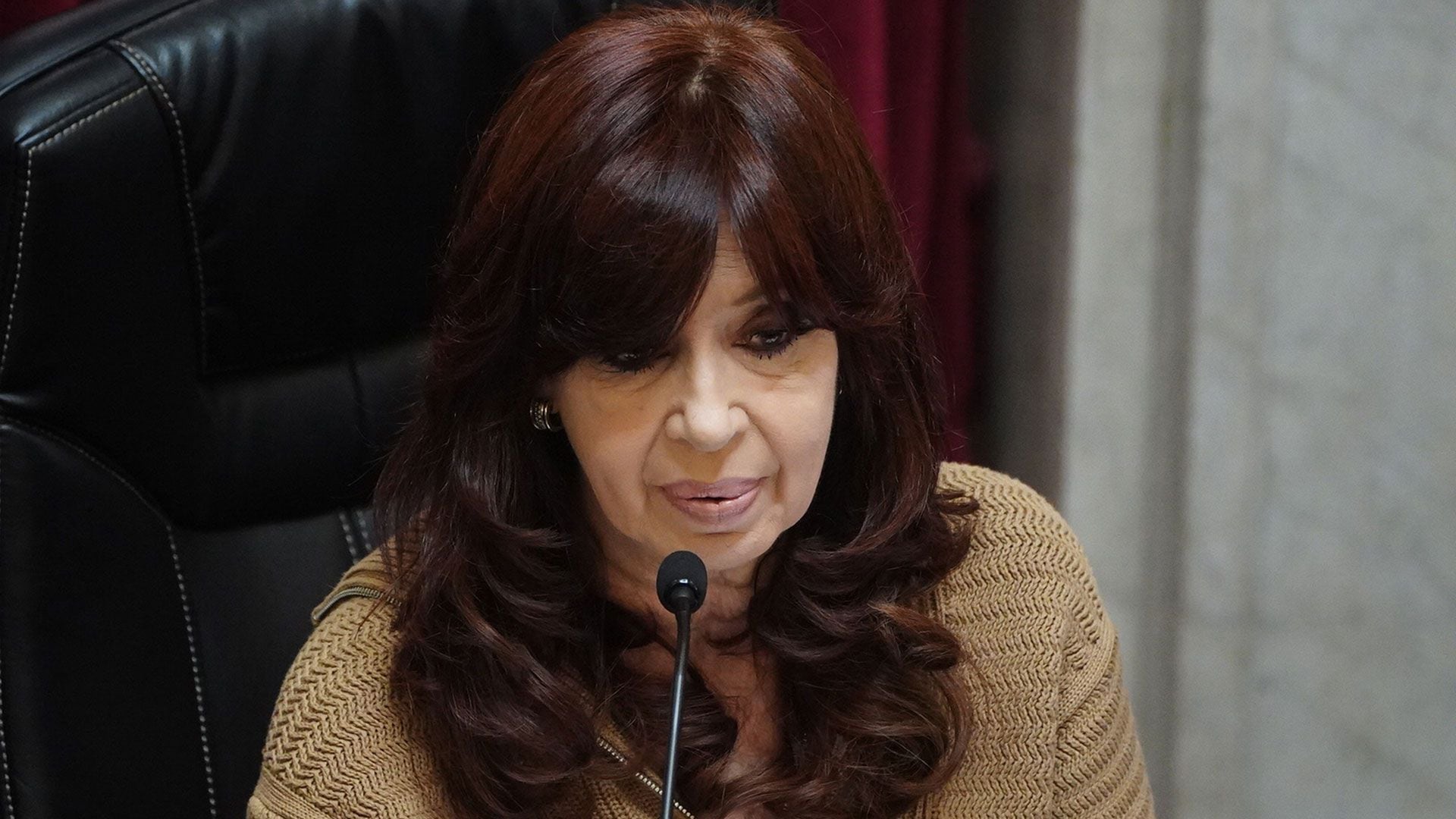 Cristina Kirchner (Franco Fafasuli)