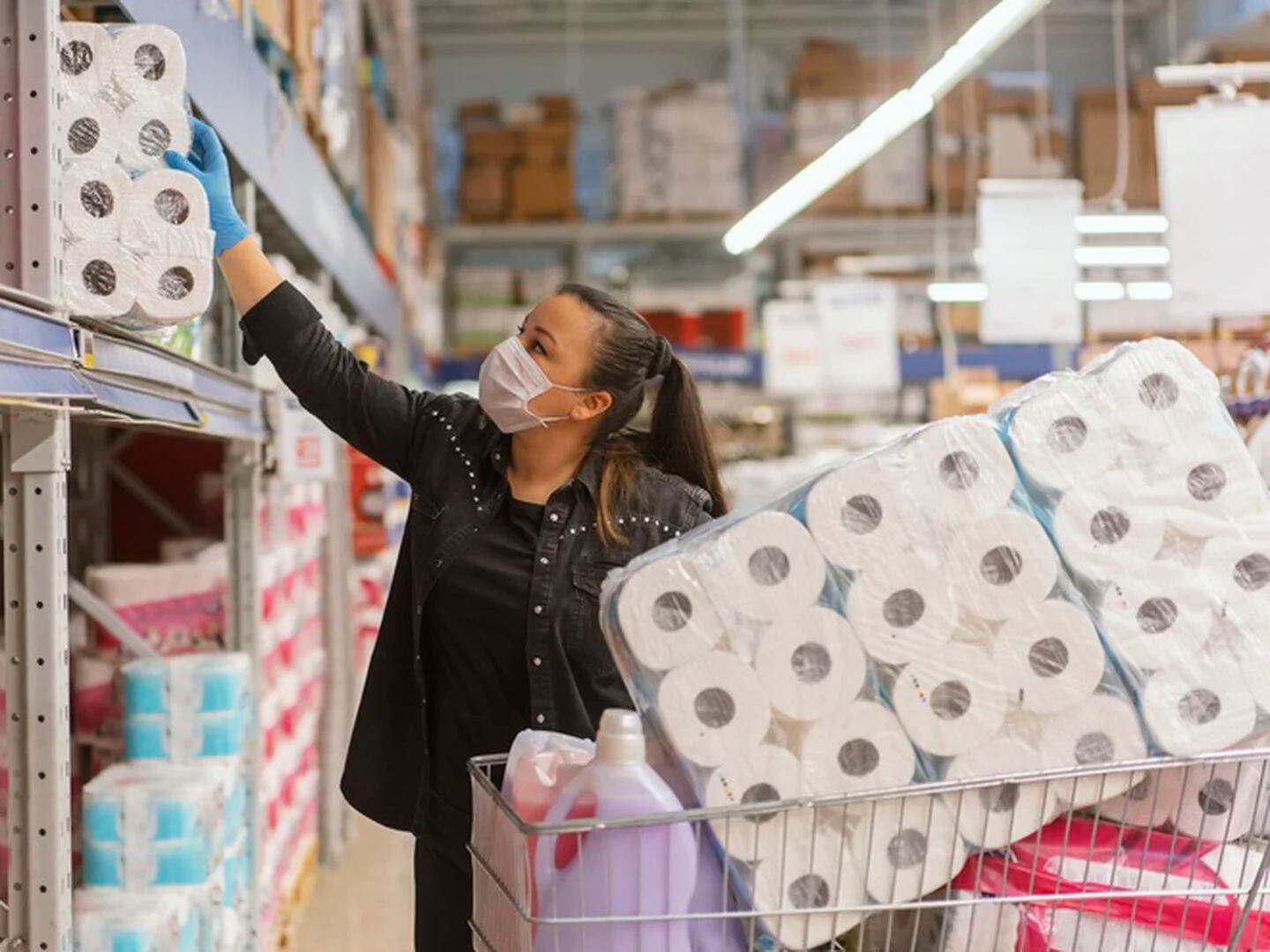 El negocio del papel higiénico en Argentina: qué marcas están detrás y  cuánto se consume - Forbes Argentina