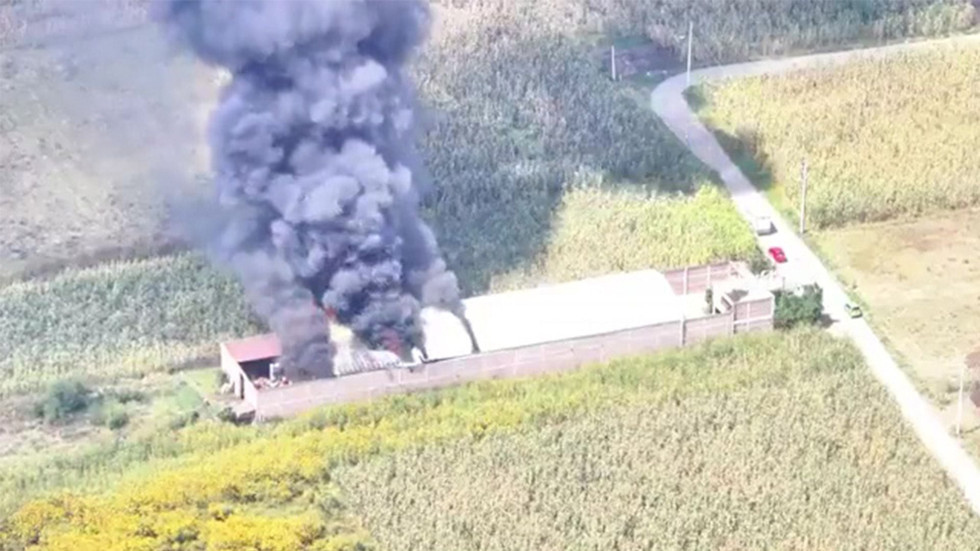 Un incendio consumió gran parte de una bodega de aceites para auto Crédito: X/@adn40