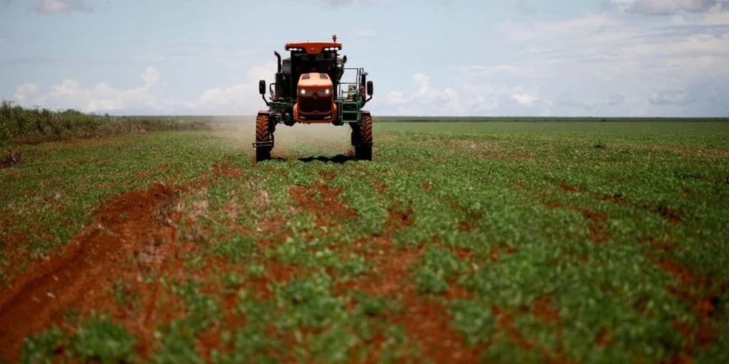 La importación de fertilizantes creció 70% hasta mayo, pero se frenó a la espera de que baje el impuesto PAIS