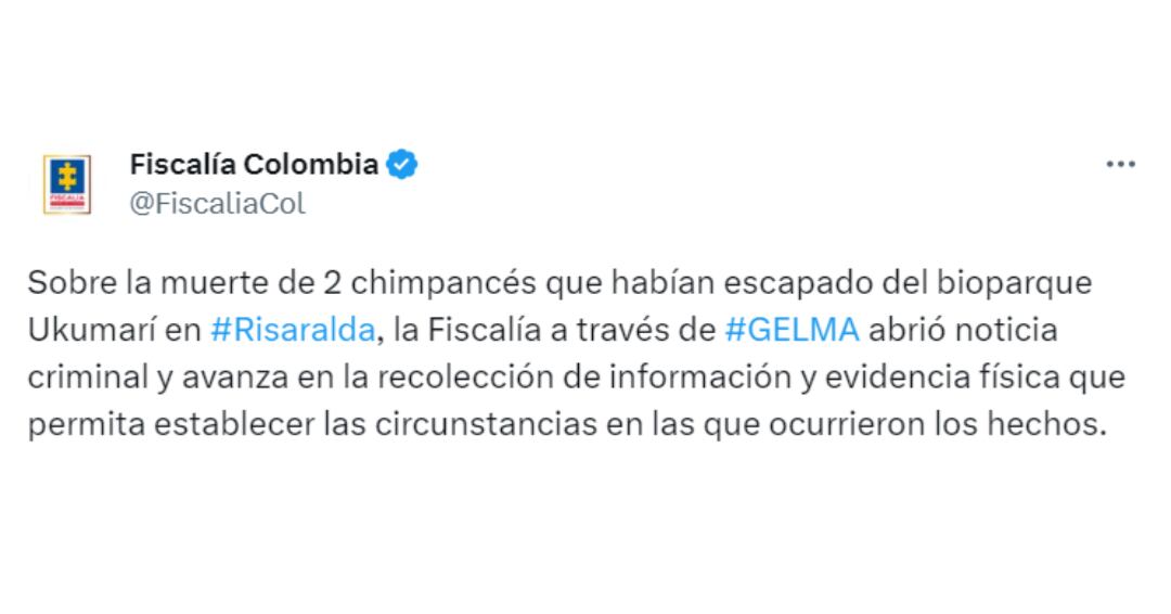 La Fiscalía anunció que comenzará a recopilar información sobre la muerte de los dos chimpancés que escaparon del Bioparque Ukumarí en Pereira. Crédito: @FiscaliaCol / Twitter