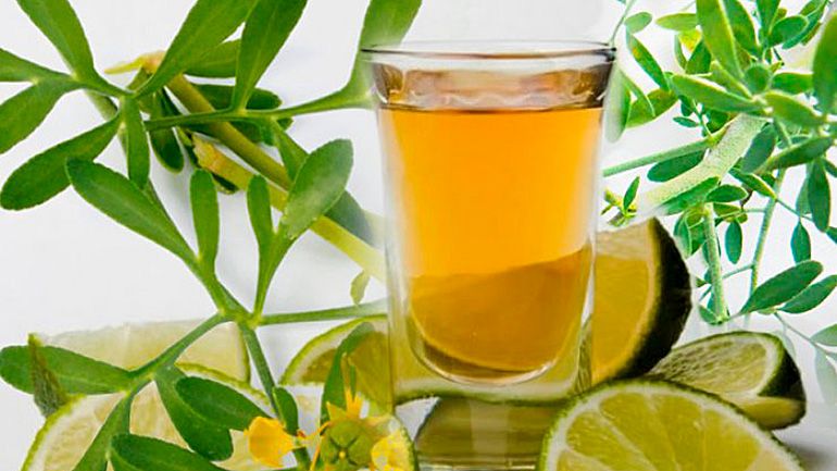 Combate problemas digestivos con el té de ruda