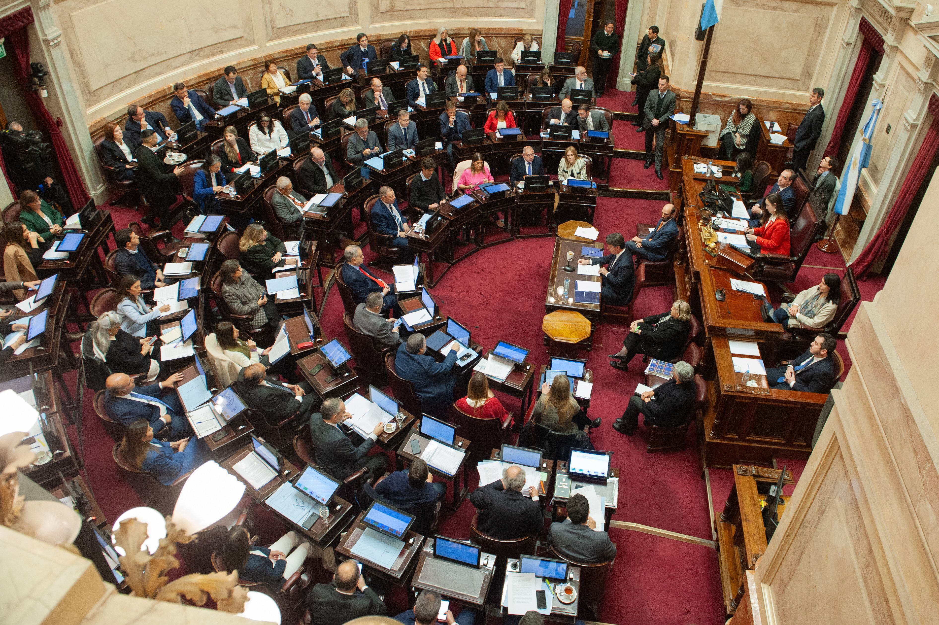 Nicolás Posse expone en el senado