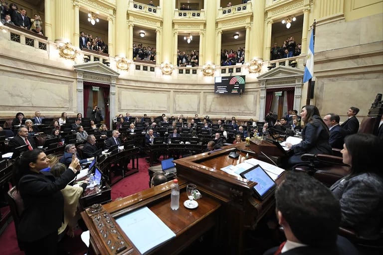 El Gobierno cedió en artículos clave y el Senado aprobó la Ley Bases, que ahora vuelve a Diputados