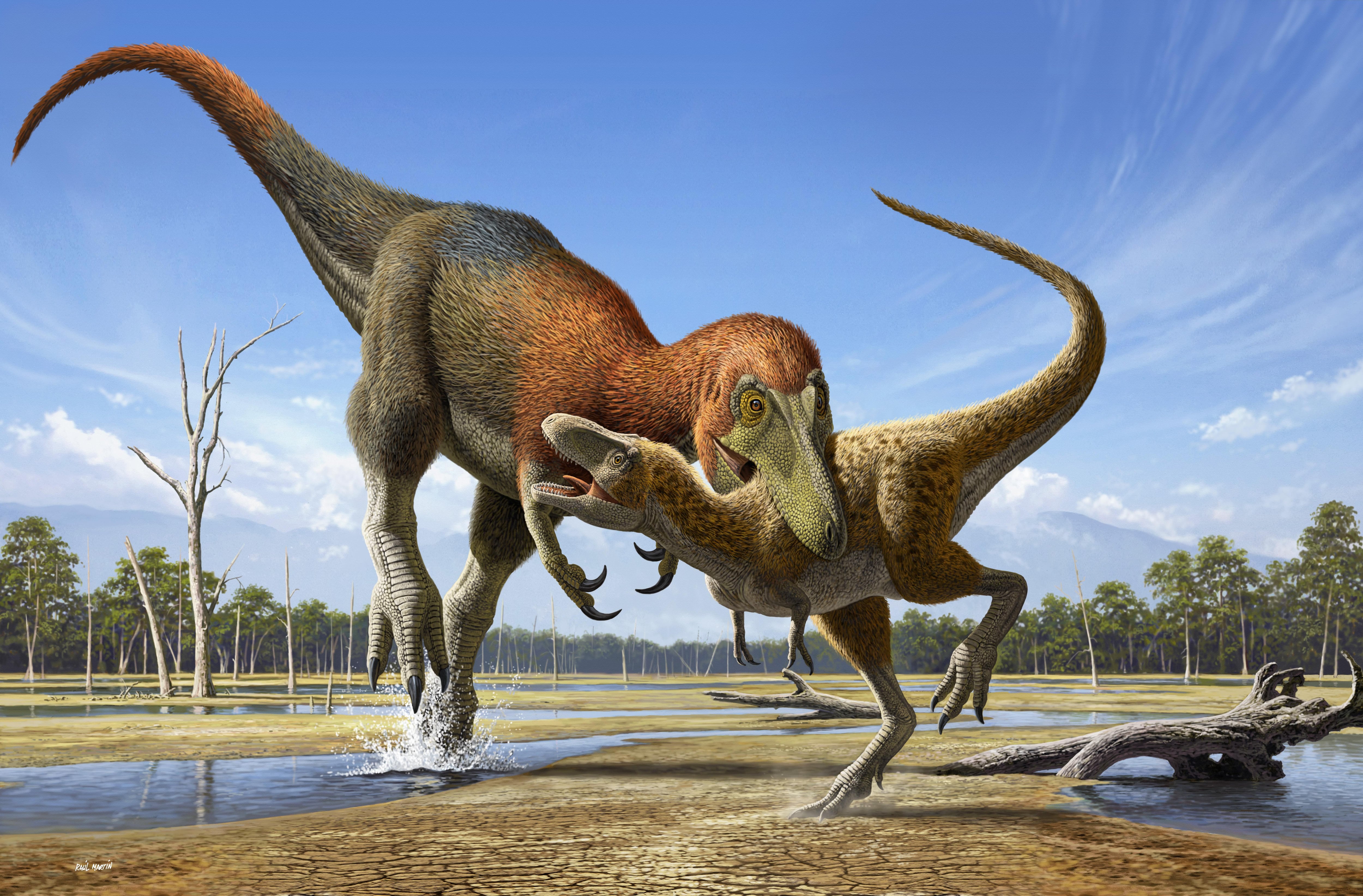 Ilustración artística de Nanotyrannus atacando a un ejemplar juvenil de T. rex. Crédito: Andrey Atuchin/University of Bath 