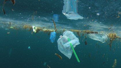 La contaminación plástica en mares y océanos es también a causa de los sorbetes (Shutterstock)