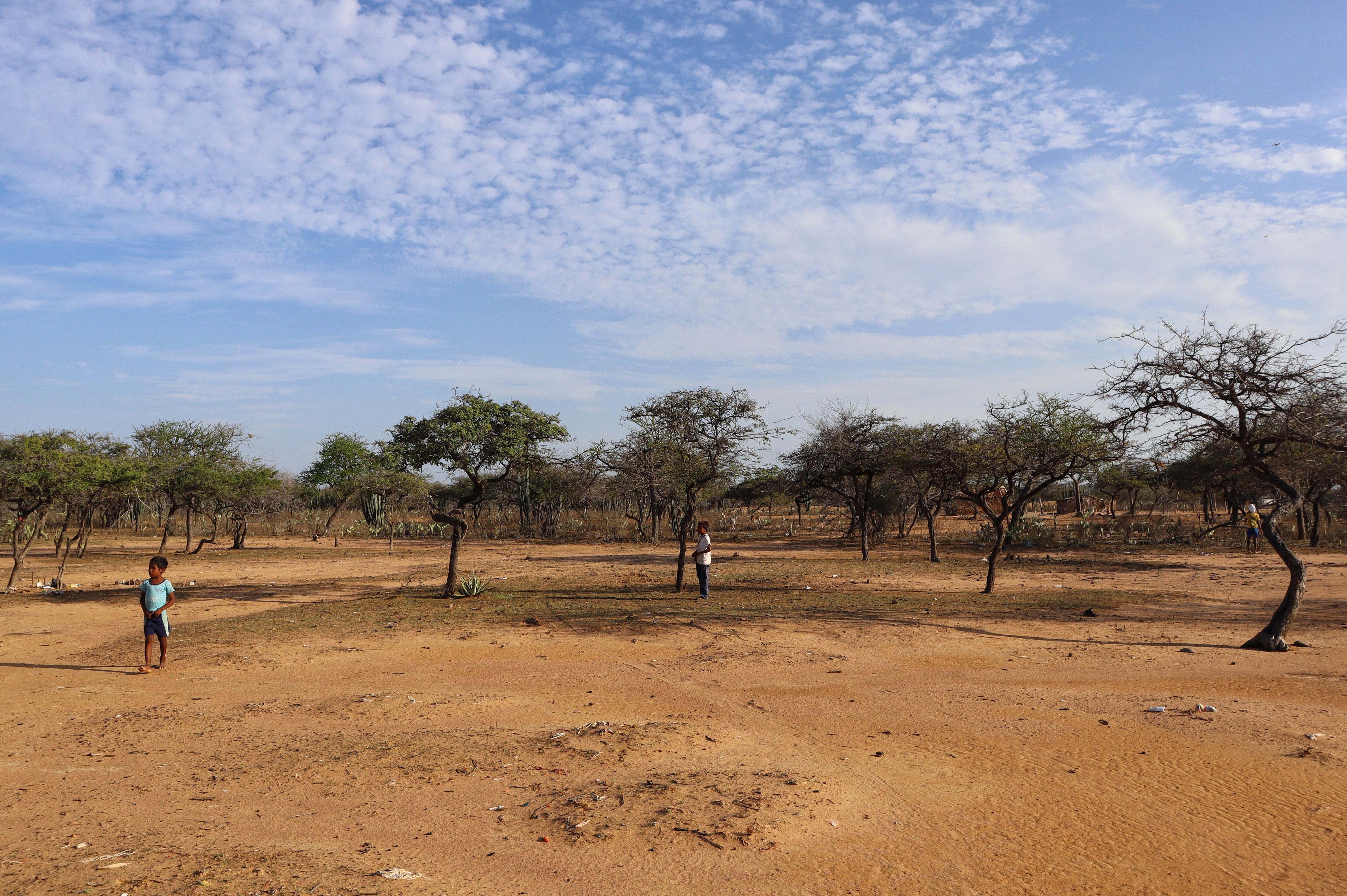 Desnutrición en La Guajira, ninos wayúu. Foto: Colprensa