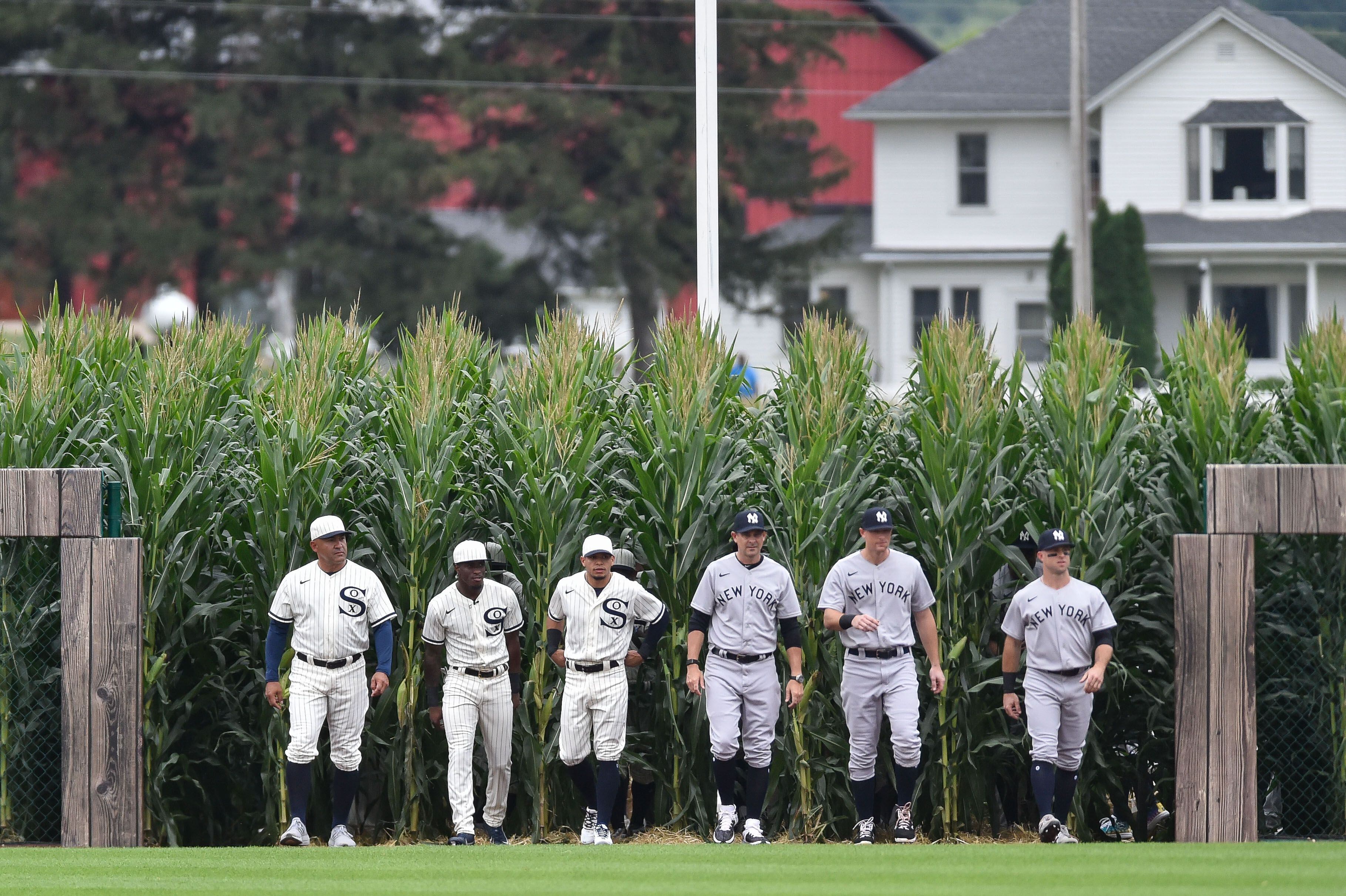 MLB: Cachorros y Rojos revelan uniformes para el Field of Dreams