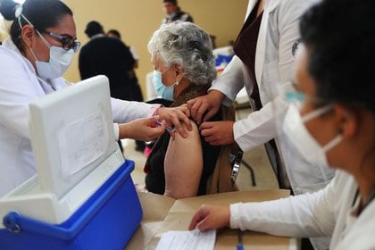 El canciller informó que a partir de la próxima semana “se va a duplicar” la cantidad de dosis de Pfizer que llegan cada martes desde Bélgica, y anunció un acuerdo con Sinovac para recibir 20 millones antes de julio. (Foto: Reuters)