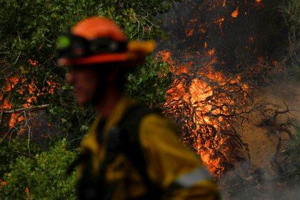 Un bombero monitorea un foco mientras un incendio forestal de rápido movimiento, llamado Lake Fire, arde en una zona montañosa del Bosque Nacional Ángeles al norte de Los Ángeles, California (Reuters)