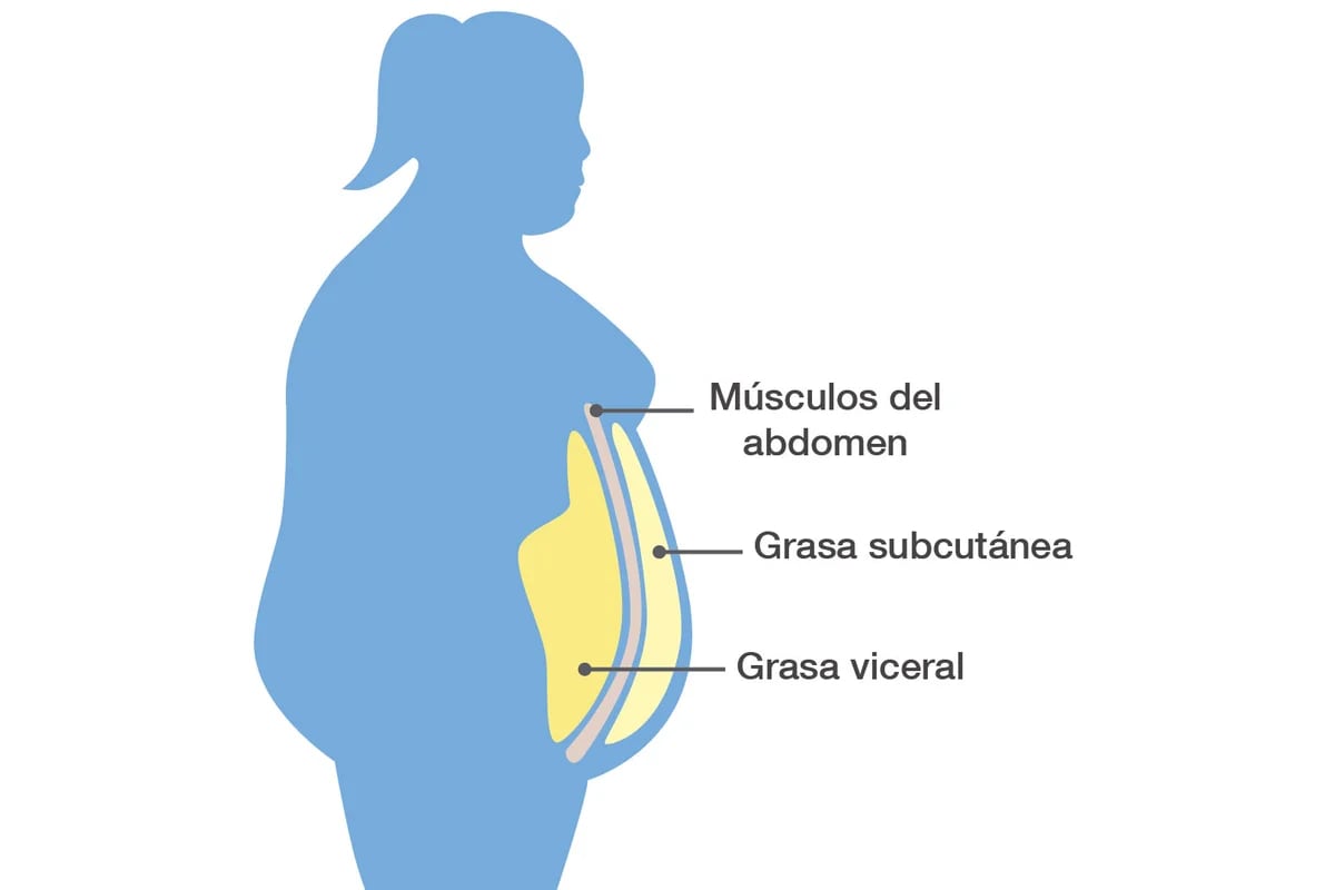 Grasa abdominal en las mujeres: qué hacer para evitarla y