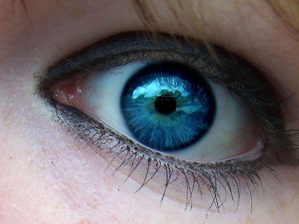 Los ojos azules son resultado de dos genes recesivos (Infobae/Archivo)