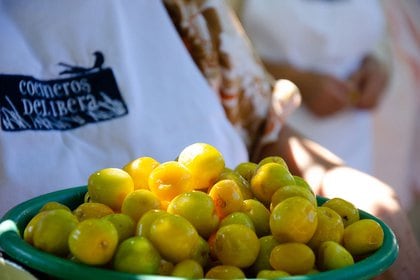 Además del valor alimenticio la gastronomía en Iberá tiene un valor ritual muy ligado a la espiritualidad y la religiosidad: es una regla festejar el día de los santos con un gran almuerzo, que se hace con esfuerzo de vecinos, amigos y devotos del santo