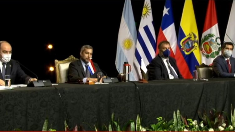 Cumbre virtual del Mercosur (captura) 