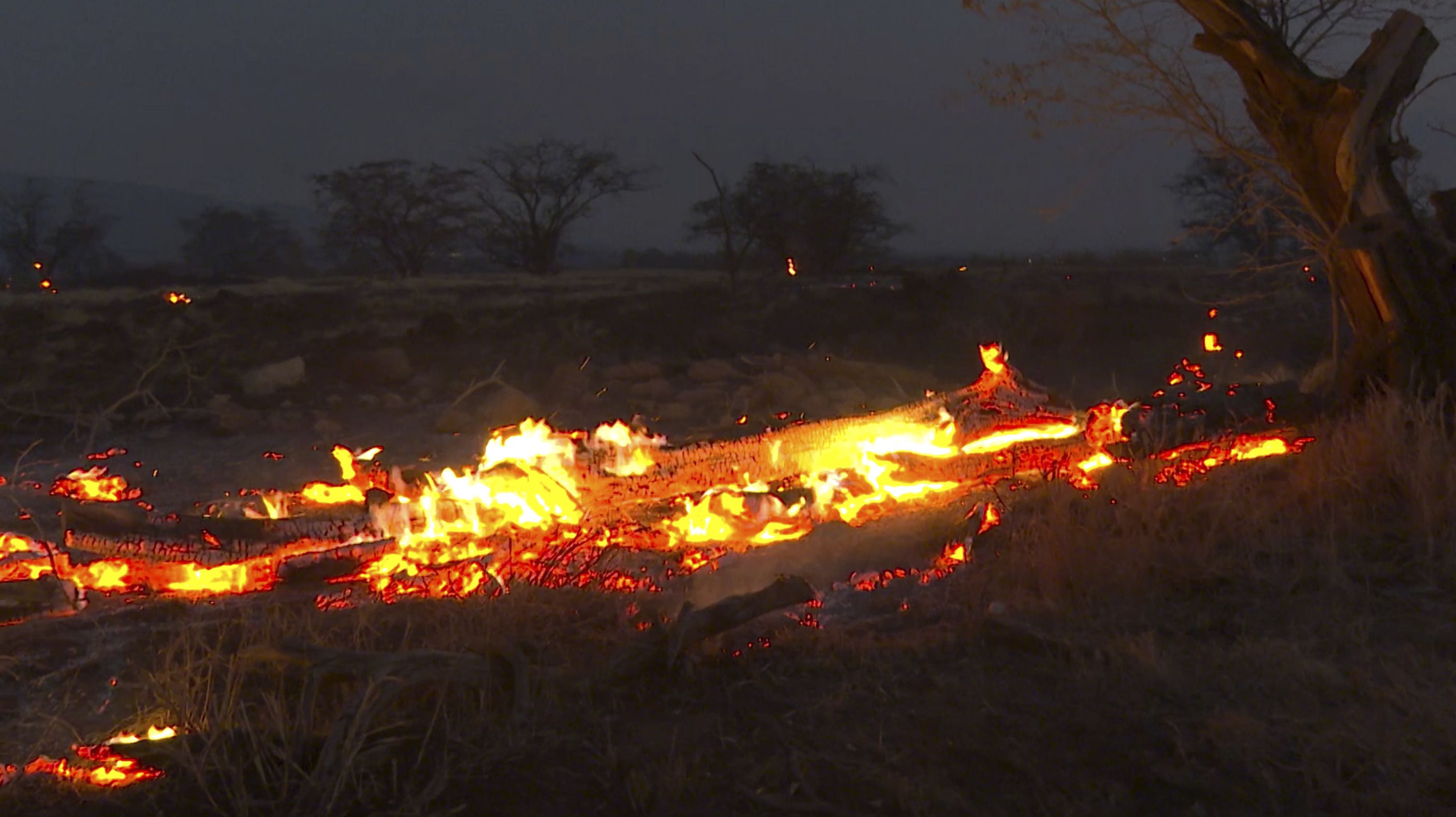 Llamas de un incendio forestal arden en Kihei, Hawai, el miércoles 9 de agosto de 2023. (AP Foto/Ty O'Neil)