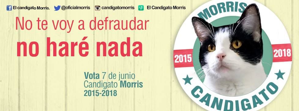 La campaña que realizaron los dueños del felino para las elecciones de 2015 (Facebook El Candigato Morris)