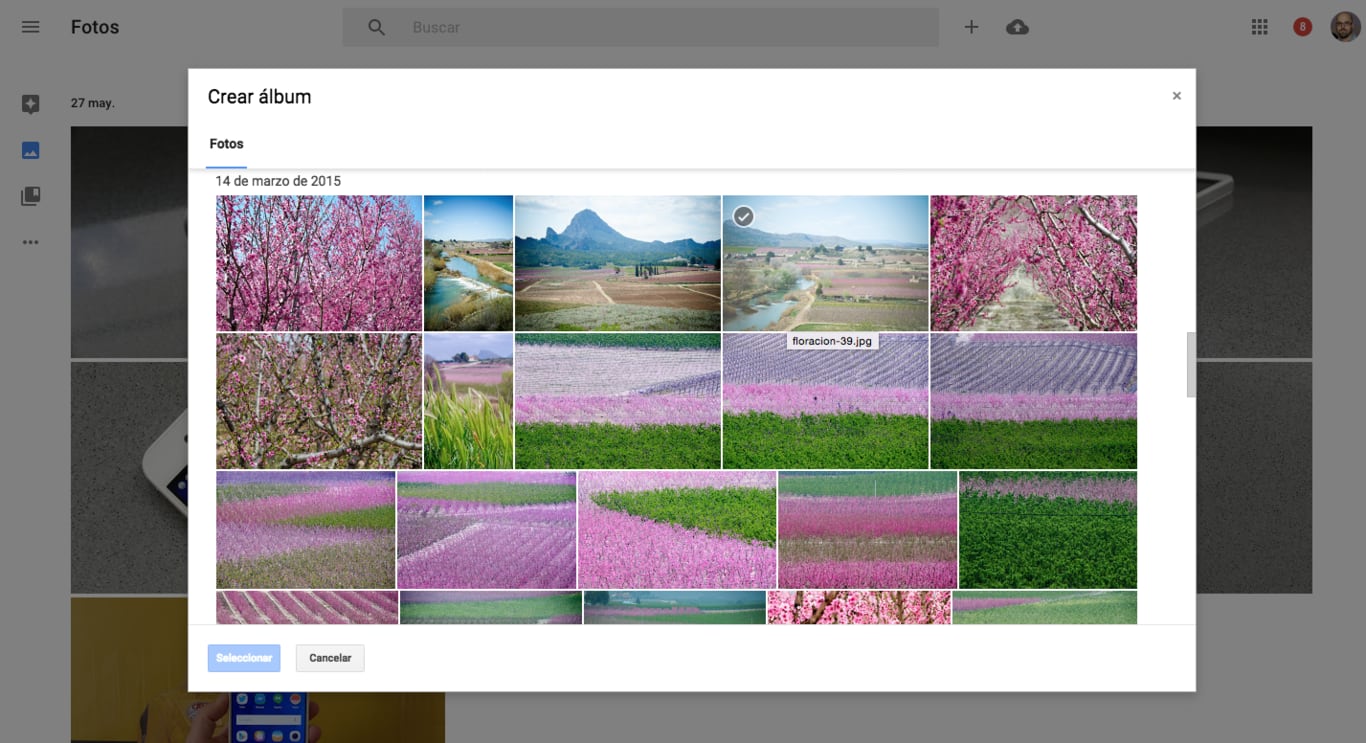 Quality on Google Photos. (photo: the confidential)