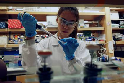 Una investigadora trabaja en un laboratorio de la Facultad de Medicina de Duke-NUS, que está desarrollando una forma de rastrear los cambios genéticos que aceleran las pruebas de vacunas contra la enfermedad del coronavirus (COVID-19), en Singapur. 23 de marzo de 2020. REUTERS/Joseph Campbell.