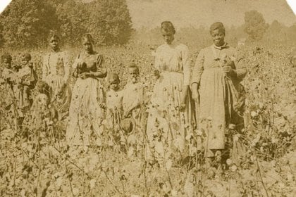 Mujeres y niños en un campo de algodón, alrededor de 1860 (Smithsonian National Museum of African American History and Culture)
