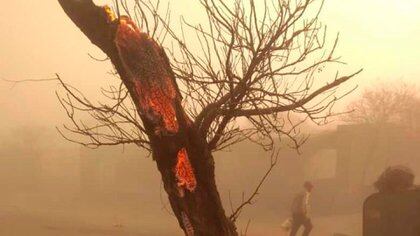 El fuego arrasó 250 hectáreas de las 700 de su campo