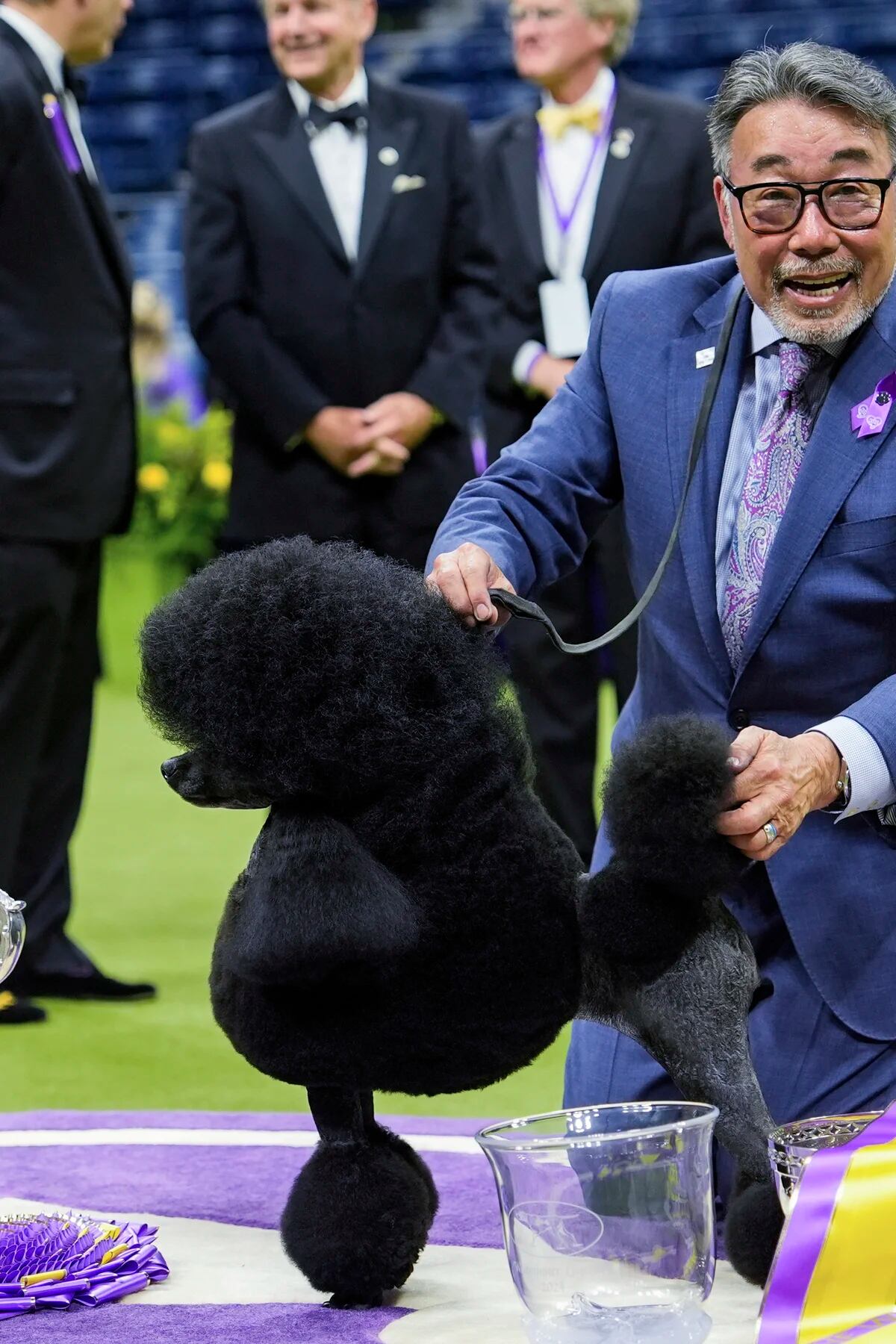 que perro ha ganado mas mejor en exposiciones