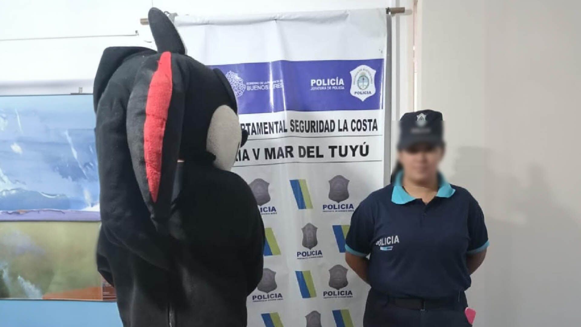 “Sonic”, un adolescente de 16 años, fue detenido acusado de agredir a un niño pequeño durante una visita a Mar del Tuyú.