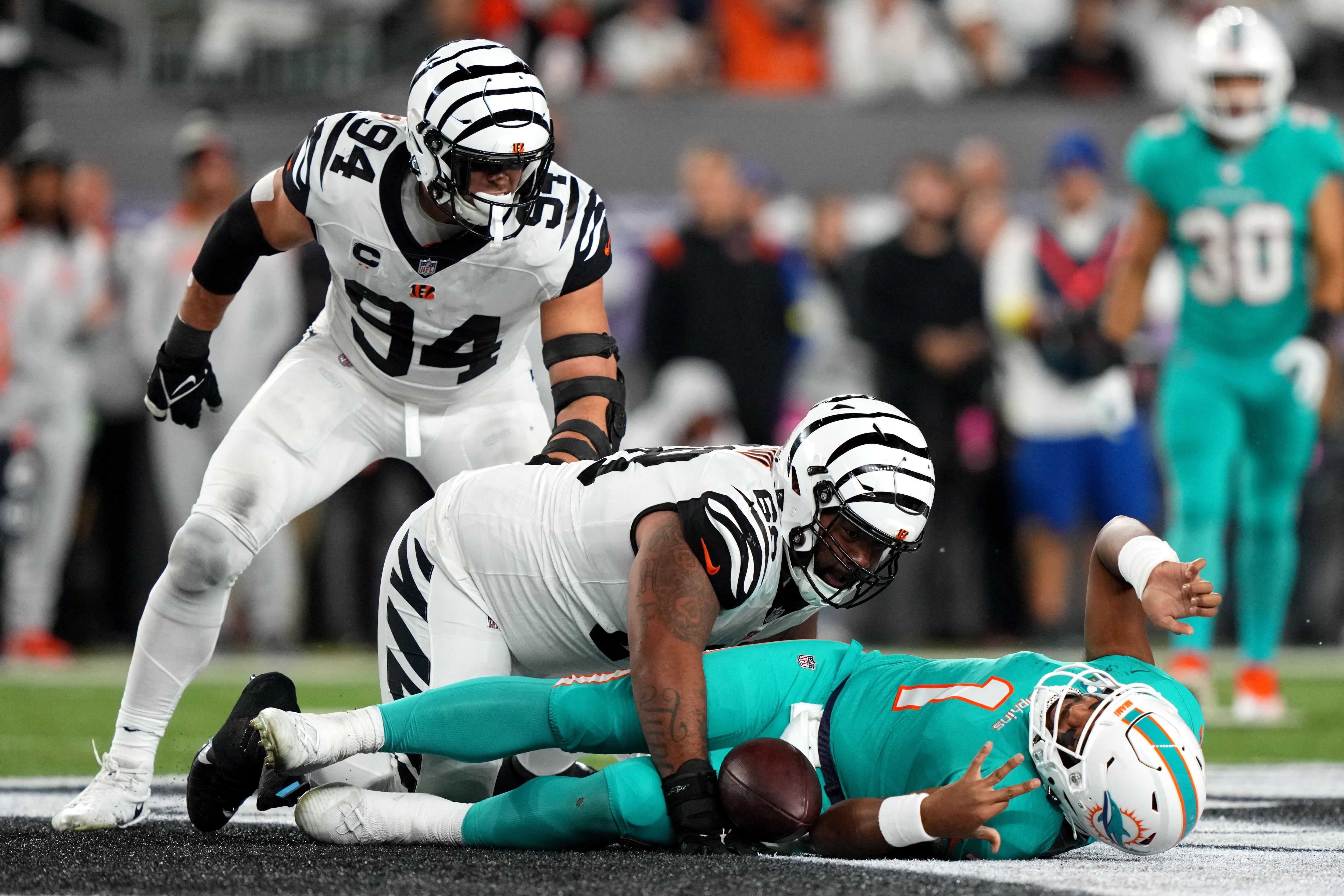 : Dolphins vs. Bengals : Películas y TV