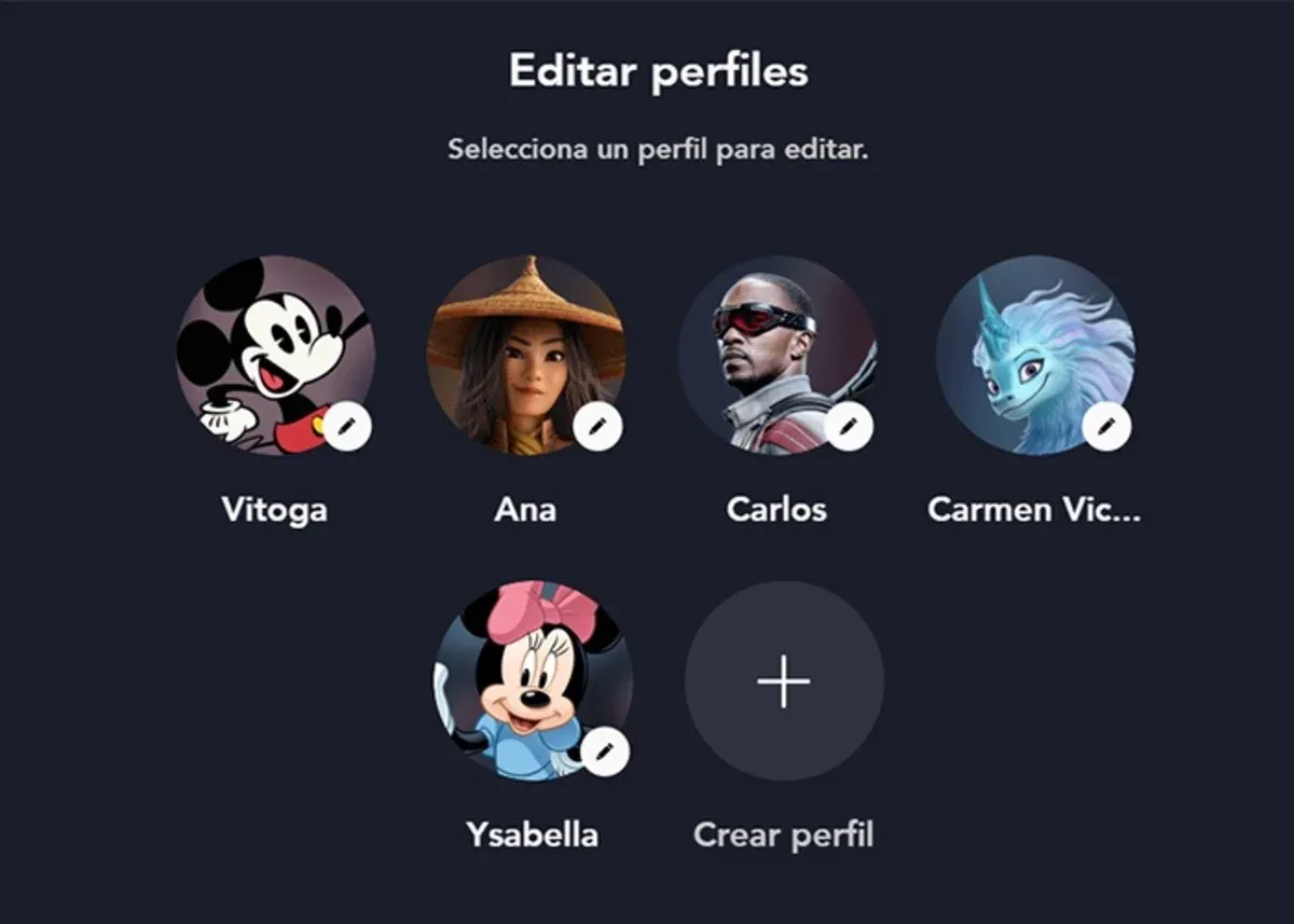 Prohibit other users from creating profiles on Disney+. (photo: Andro4All)