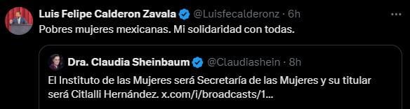 El hijo del expresidente dio a conocer su crítica en redes sociales (X/@Luisfecalderonz)