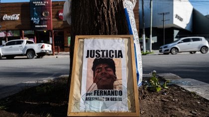 Memento: el árbol frente a Le Brique donde fue asesinado Fernando (Diego Medina)