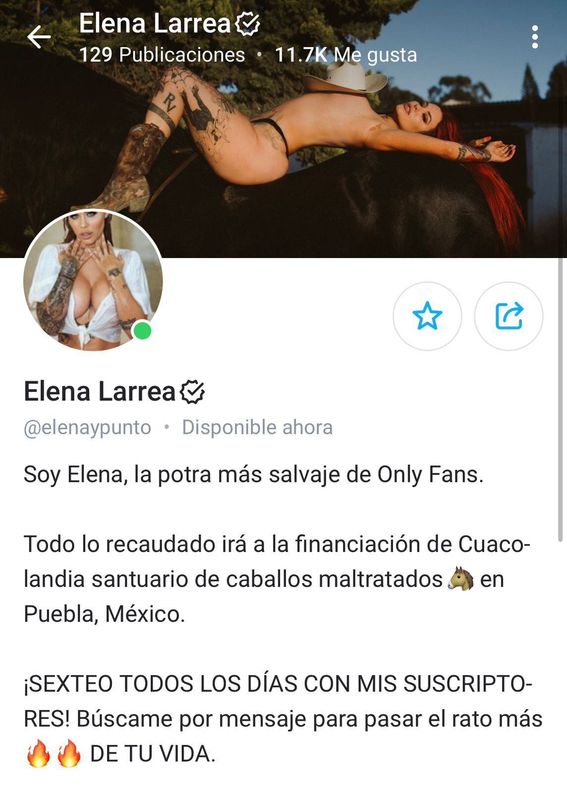 Elena Larrea y cómo OnlyFans ayudó a financiar Cuacolandia, su santuario de  caballos maltratados - Infobae