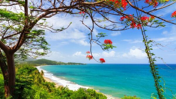 El Increible Efecto Despacito En El Turismo De Puerto Rico