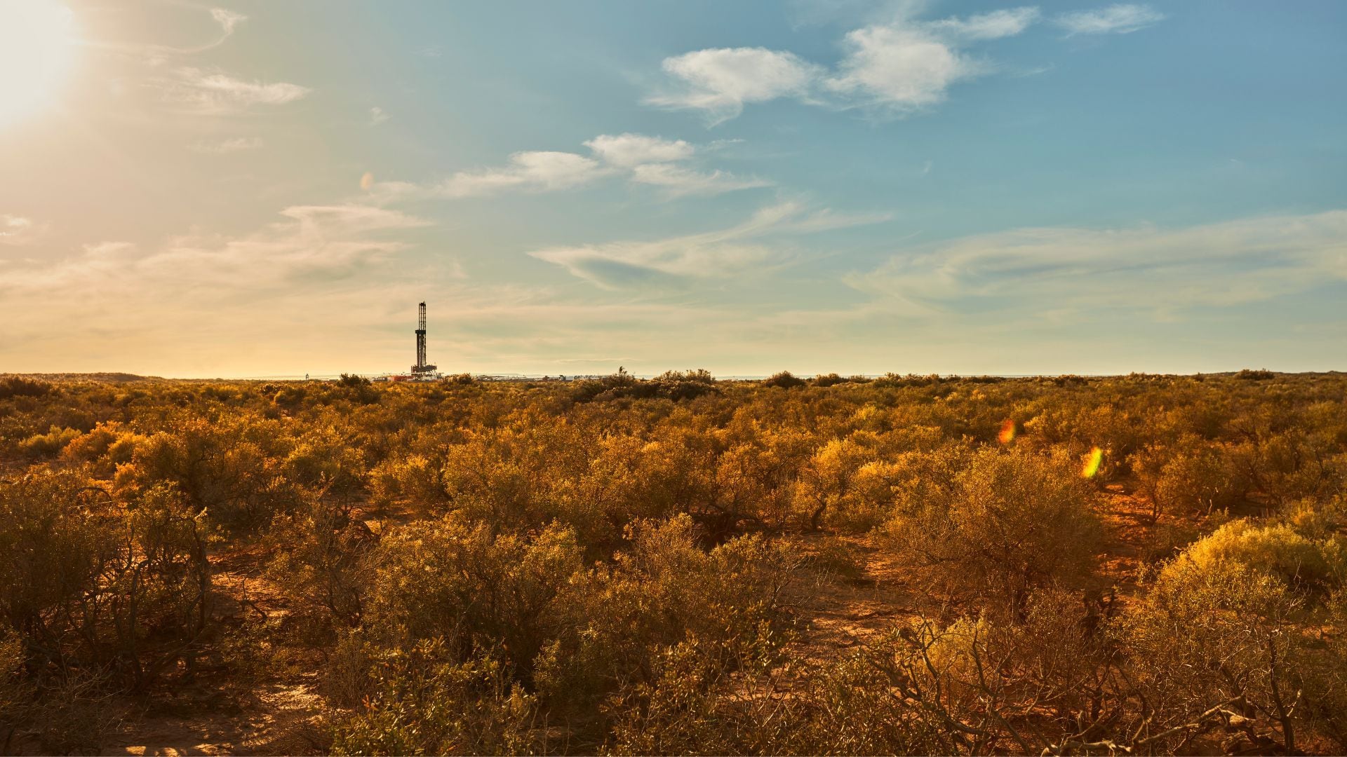 En agosto se otorgó al concesión de un nuevo área de Vaca Muerta de 239 km2. (Vista)