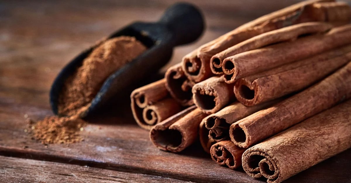 Apa saja manfaat teh kayu manis dan cara mengolahnya menurut para ahli