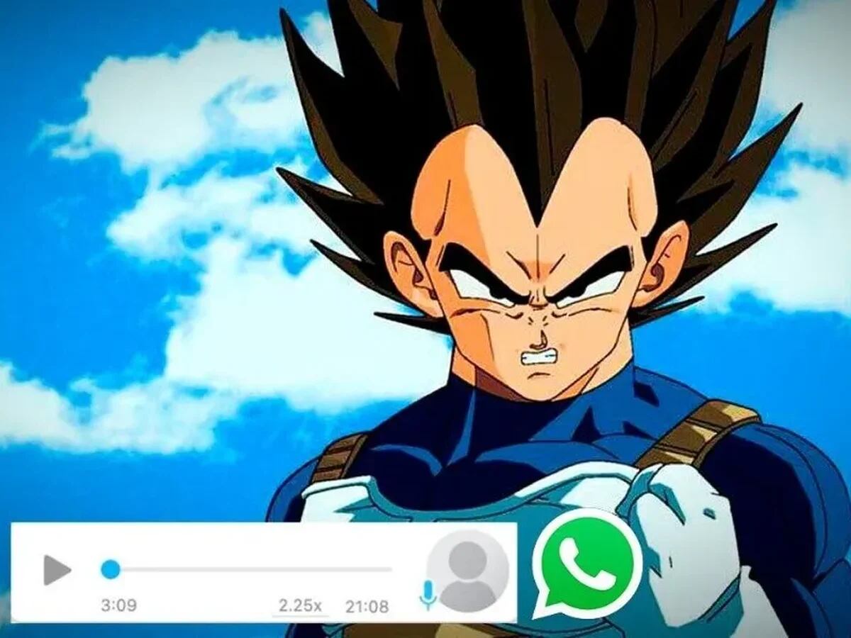 WhatsApp и Dragon Ball Z: трюк с отправкой аудио голосом Вэджиты, Гоку,  Гохана и других персонажей - Infobae