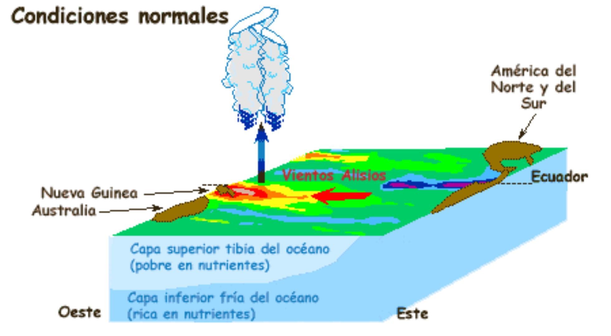 El Niño es un fenómeno intermitente en el Océano Pacífico, pero debido a que es tan grande, afecta el clima en todo el mundo (spaceplace.nasa.gov)