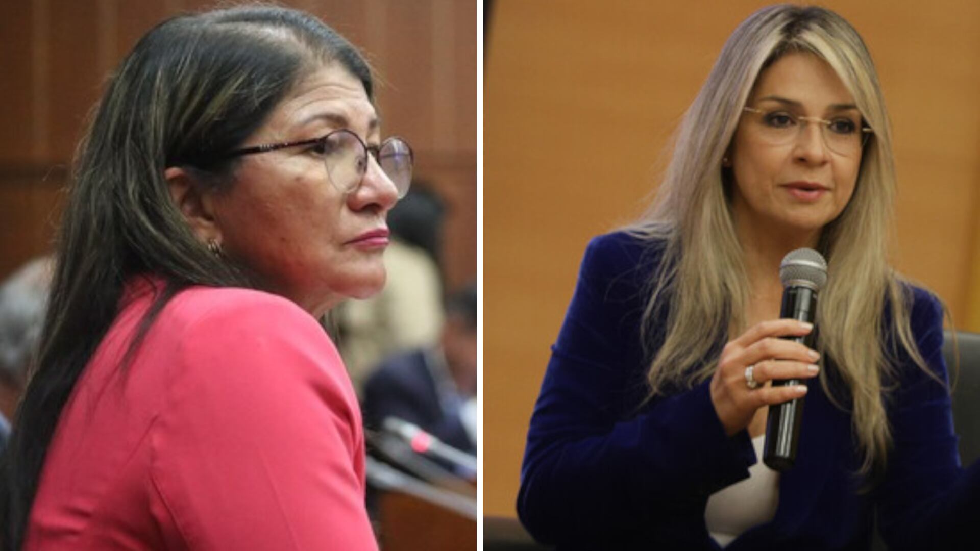 Victoria Eugenia 'Vicky' Dávila le dijo a la senadora Sandra Ramírez, del partido Comunes, que en Estados Unidos la habrían condenado a la silla eléctrica por los crímenes que cometió cuando era guerrillera de las extintas Farc. (Crédito: Colprensa)