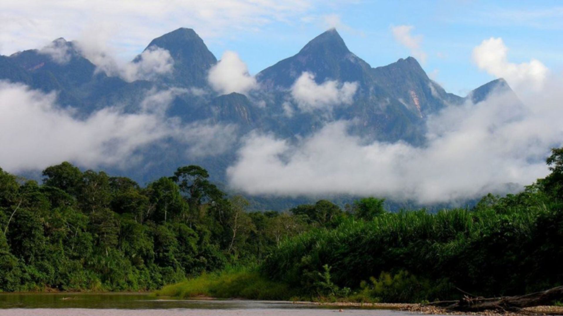 Cordillera del Cóndor