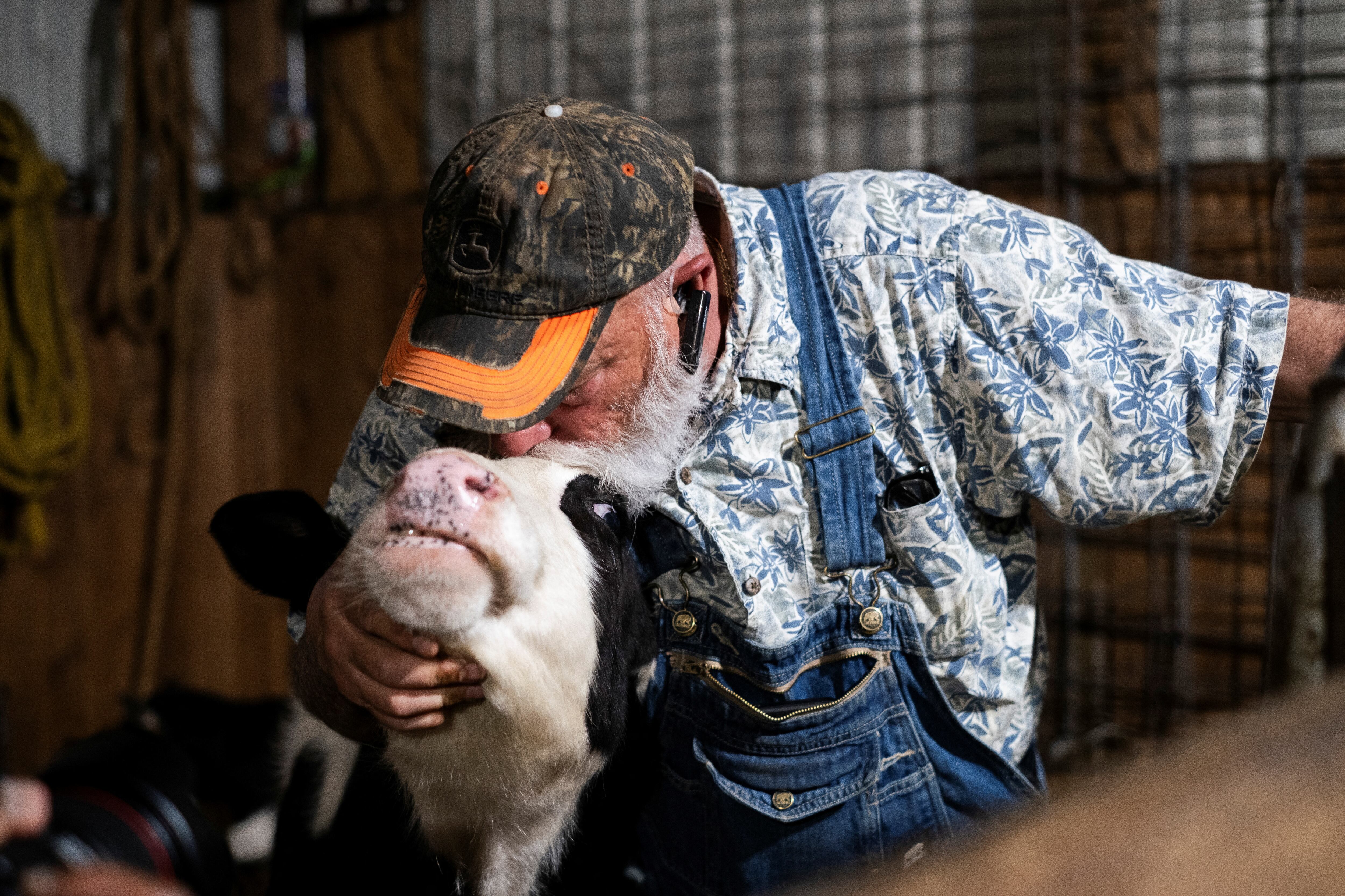 Las personas que trabajan con vacas y aves de corral pueden tener más riesgo de adquirir la infección por gripe aviar (REUTERS/Jim Vondruska)