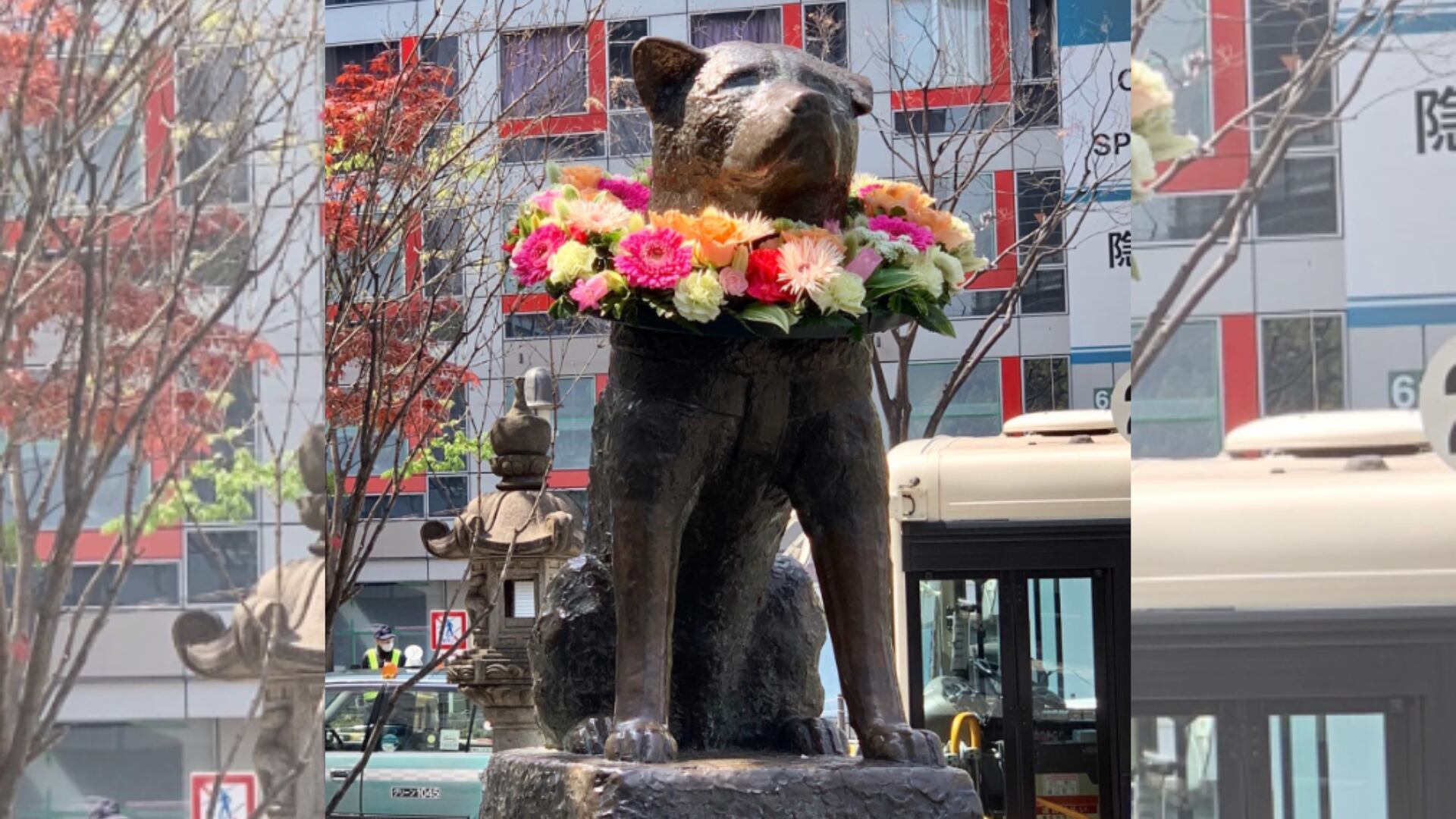 La estatua erigida en honor del famoso perro es el lugar principal de celebración el 8 de abril. (Instagram/city_shibuya_official)