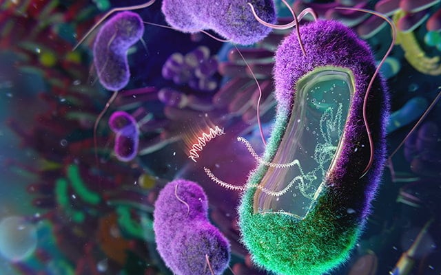 CAPTION
An artist’s rendering of the concept of re-engineered native bacteria that serve as chassis to introduce therapeutics into the gut microbiome to treat or cure disease.

CREDIT
Thom Leach, Amoeba Studios

USAGE R