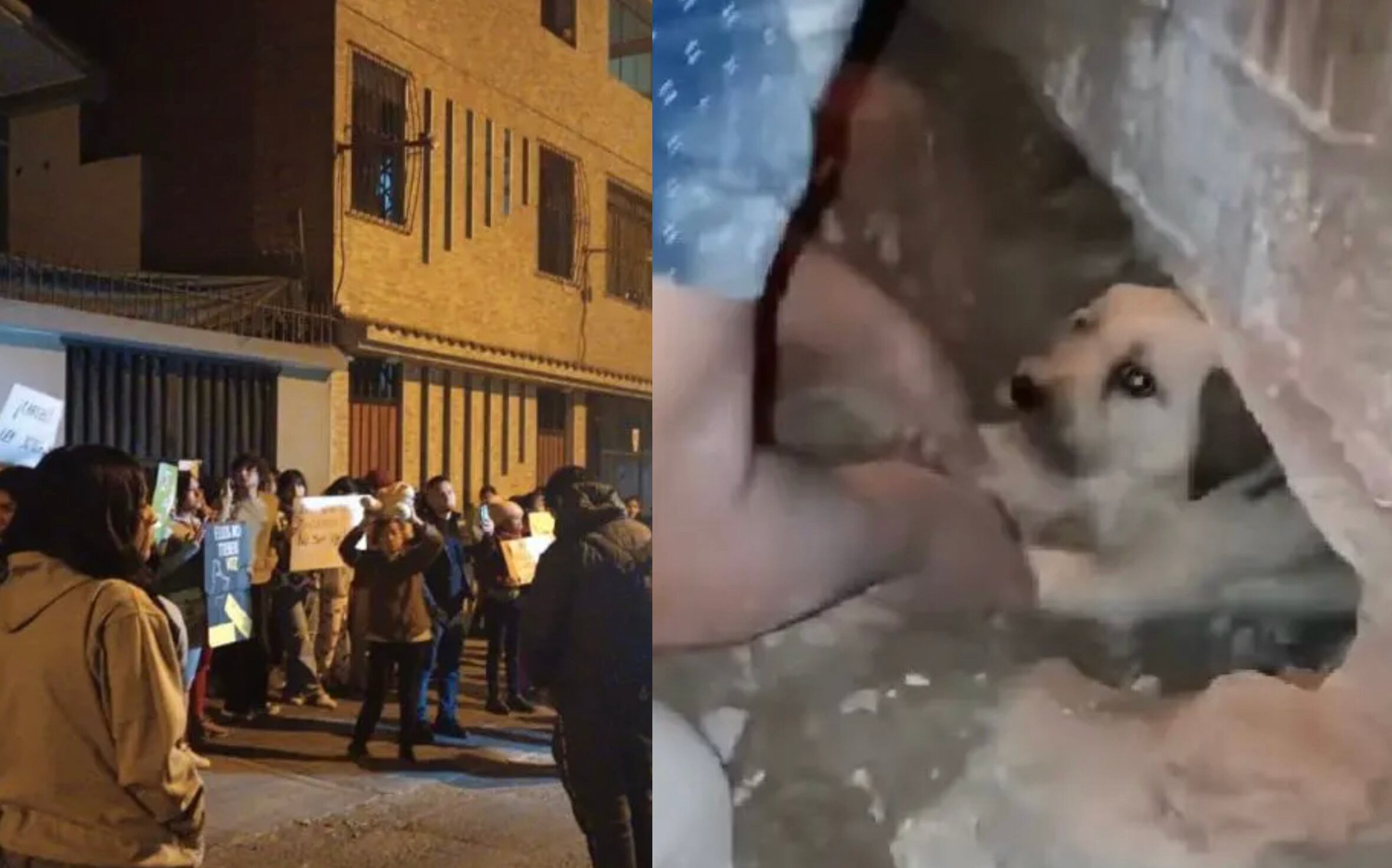 Denuncian a mujer que enterró viva a perrita en San Juan de Lurigancho.