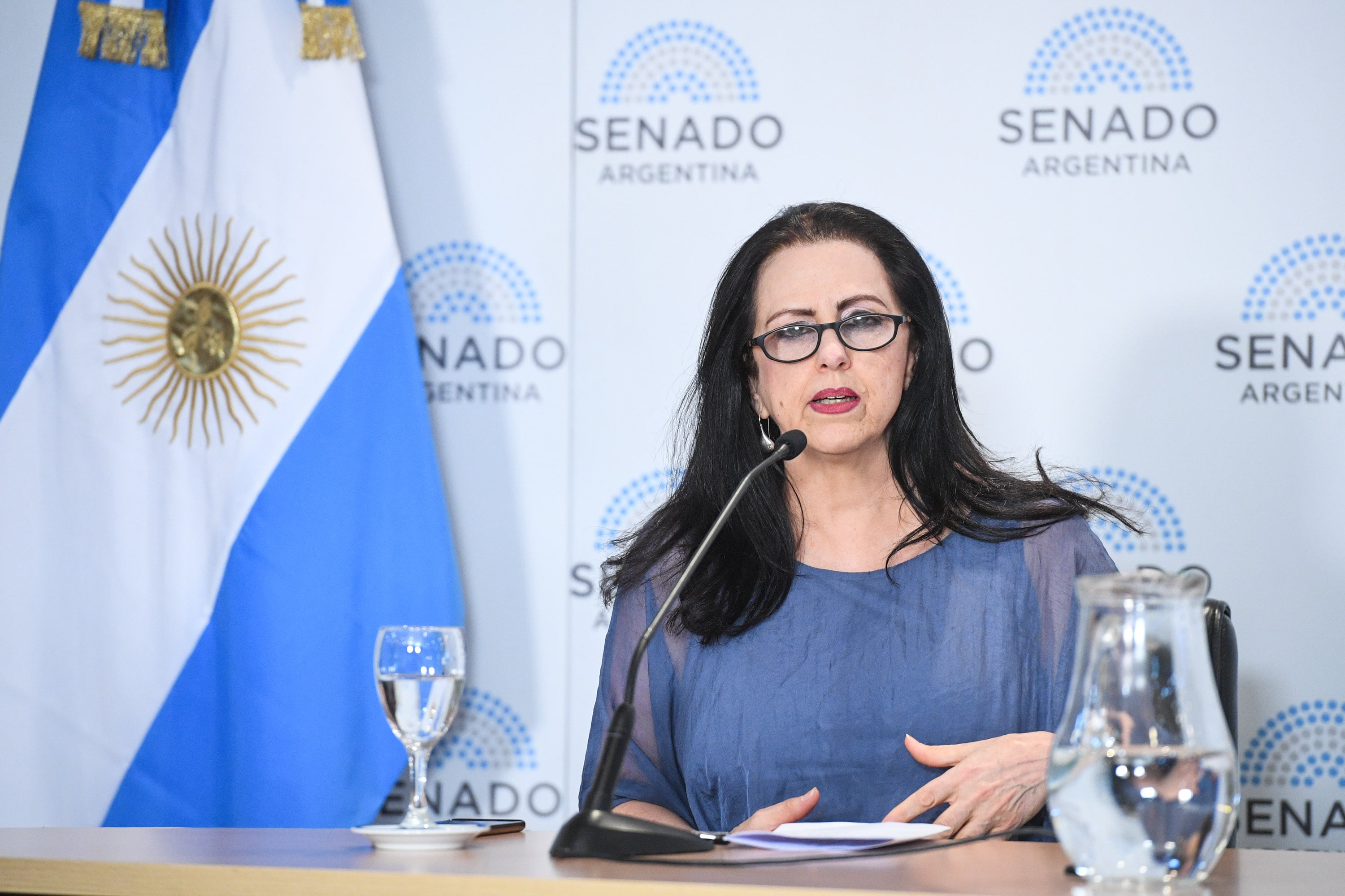 Senado de la Nación - Leonardo Orlando - Claudia Peiró