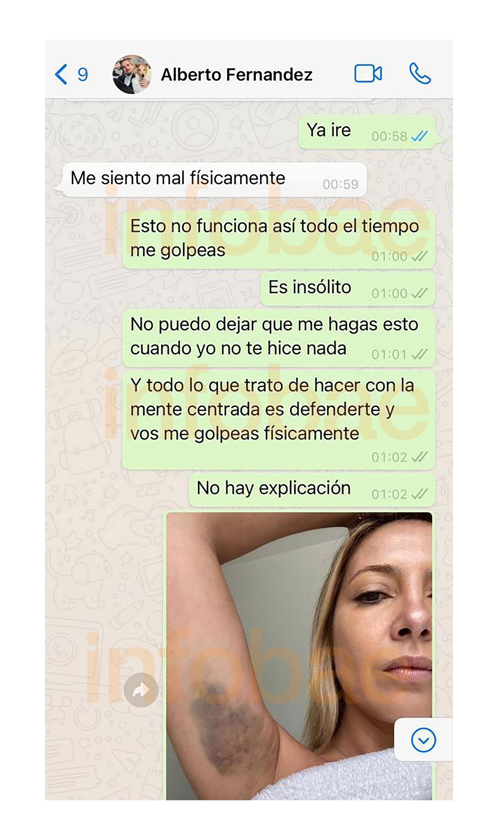 fotos chats fabiola yañez alberto fernandez violencia de genero golpes