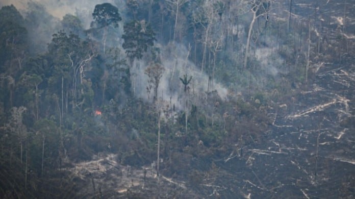 incendios forestales