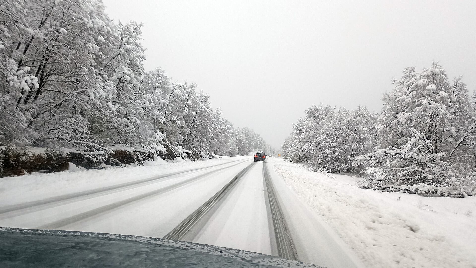 Autos nieve