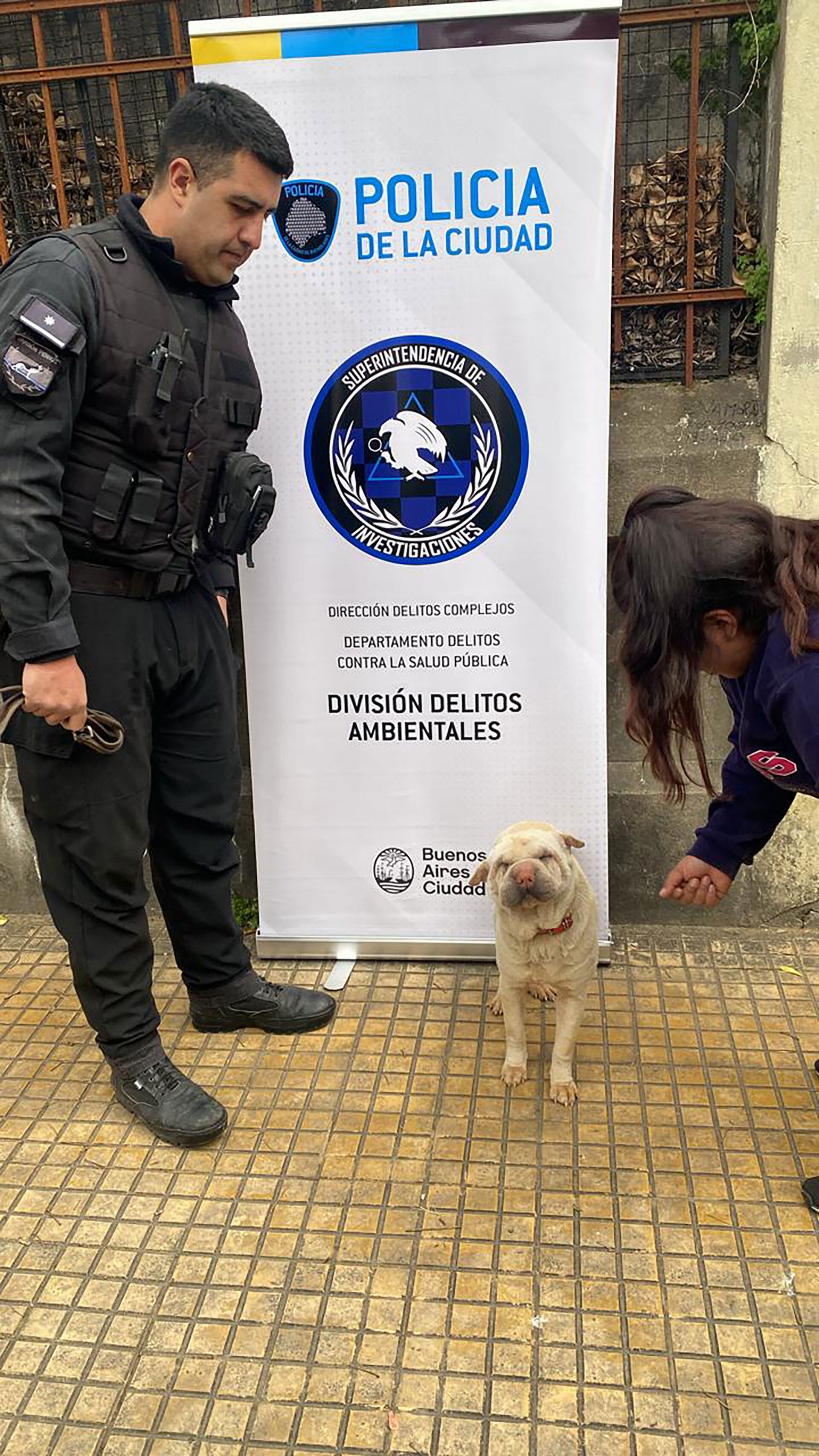 Rescate de perros en Pompeya